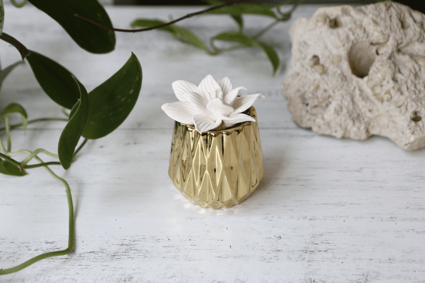Gold Succulent Diffuser + 5mL Lavender Oil