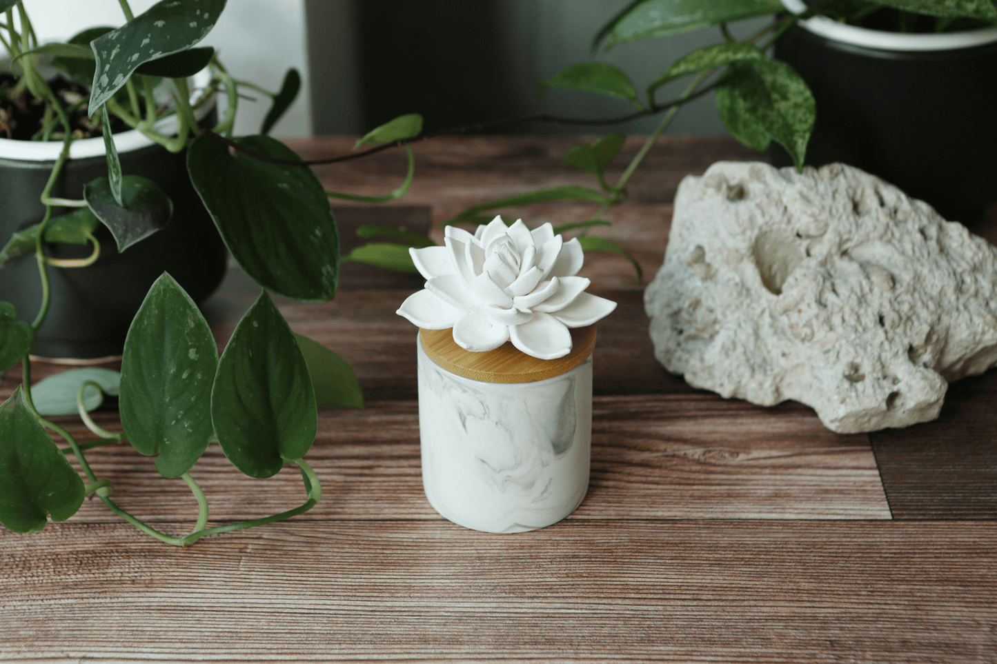 Marbled Cylinder Succulent Diffuser + 5mL Lavender Oil