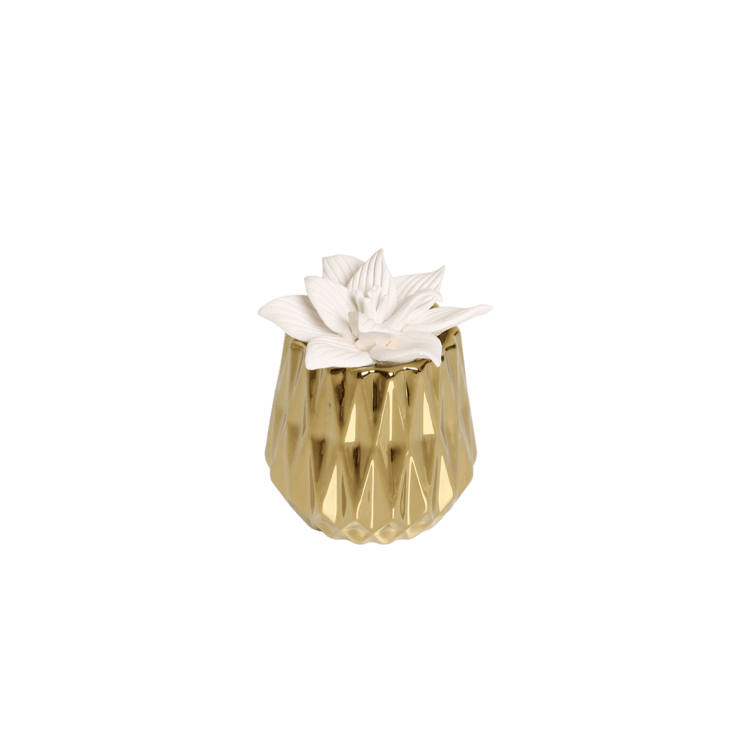 bluzen succulent stone diffuser Gold Succulent Diffuser + 5mL Lavender Oil – BLUZEN