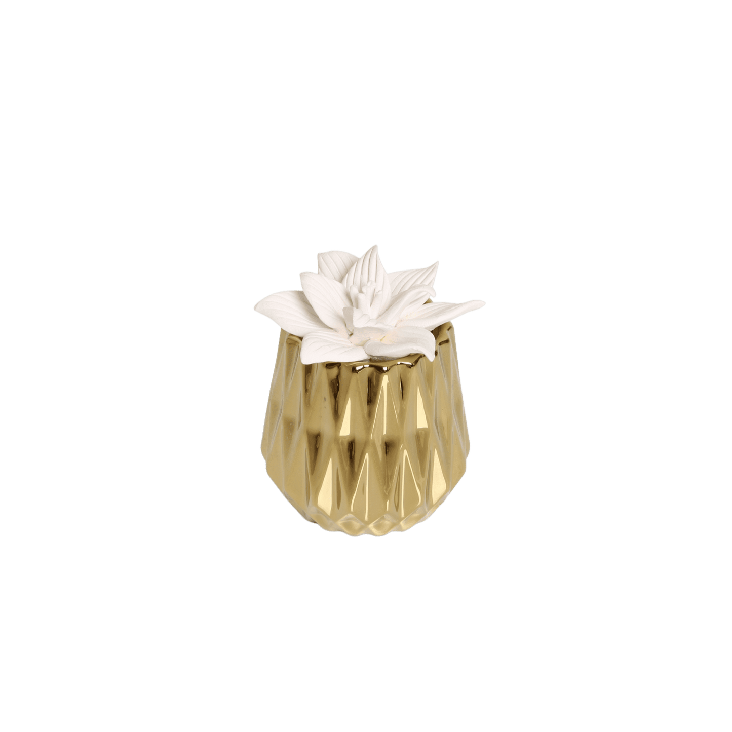 Gold Succulent Diffuser + 5mL Lavender Oil
