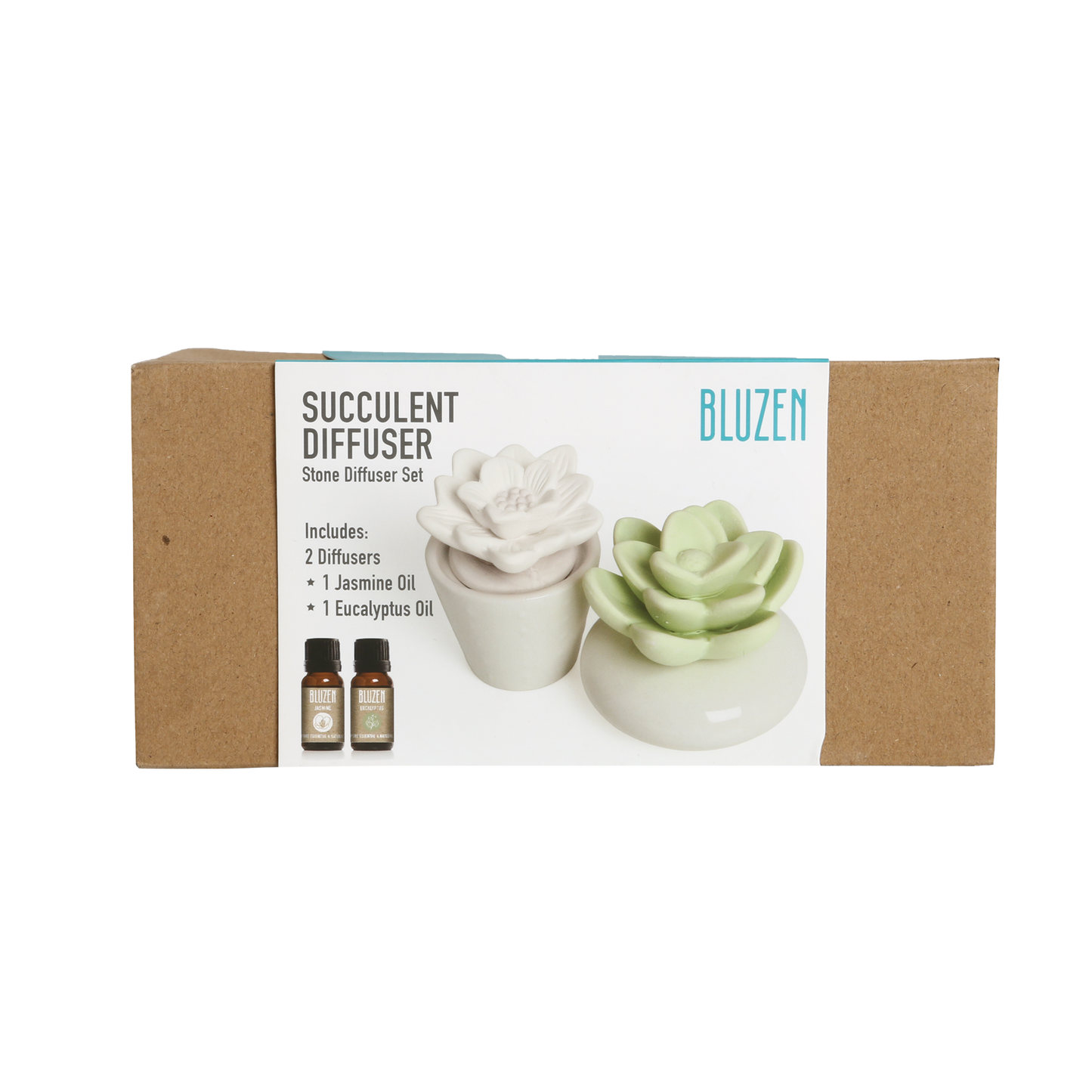 Succulent and Stone Diffuser Gift Set