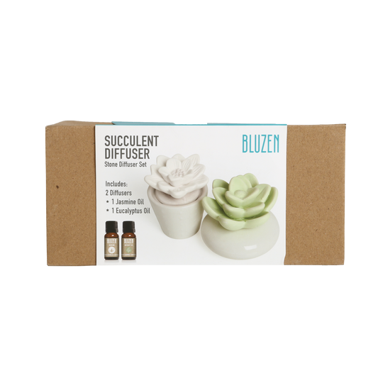 Succulent and Stone Diffuser Gift Set