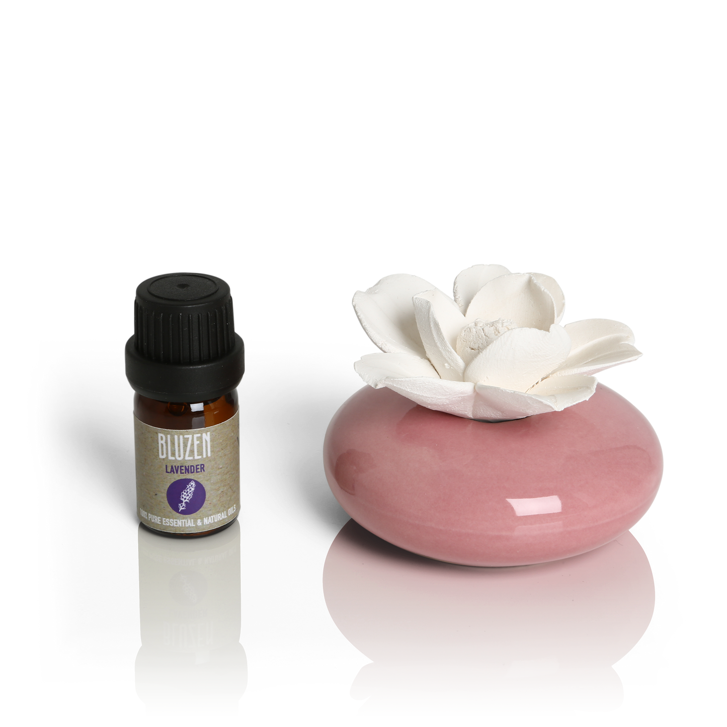 The Gardenia Succulent Diffuser + 5mL Lavender Oil
