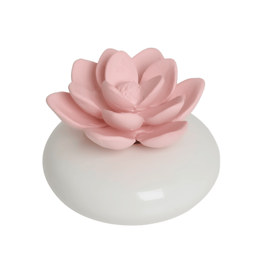 Oval Succulent Diffuser With Lavender Oil front