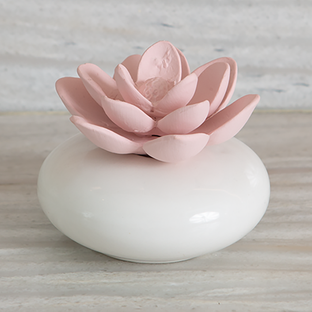 Oval Succulent Diffuser With Lavender Oil front