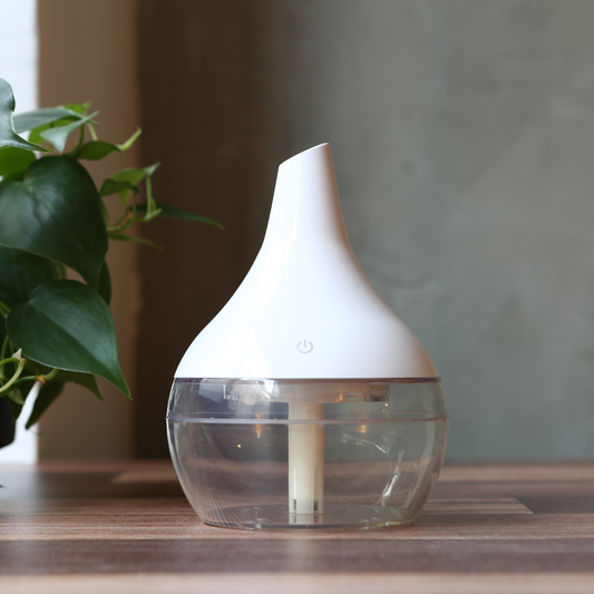 White and Transparent Humidifier
